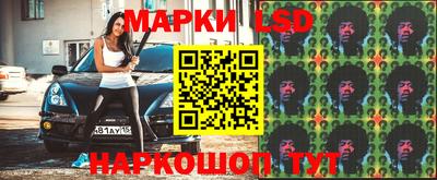 прущие грибы Будённовск