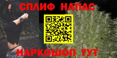прущие грибы Будённовск