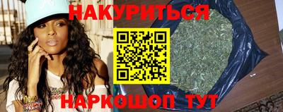 прущие грибы Будённовск