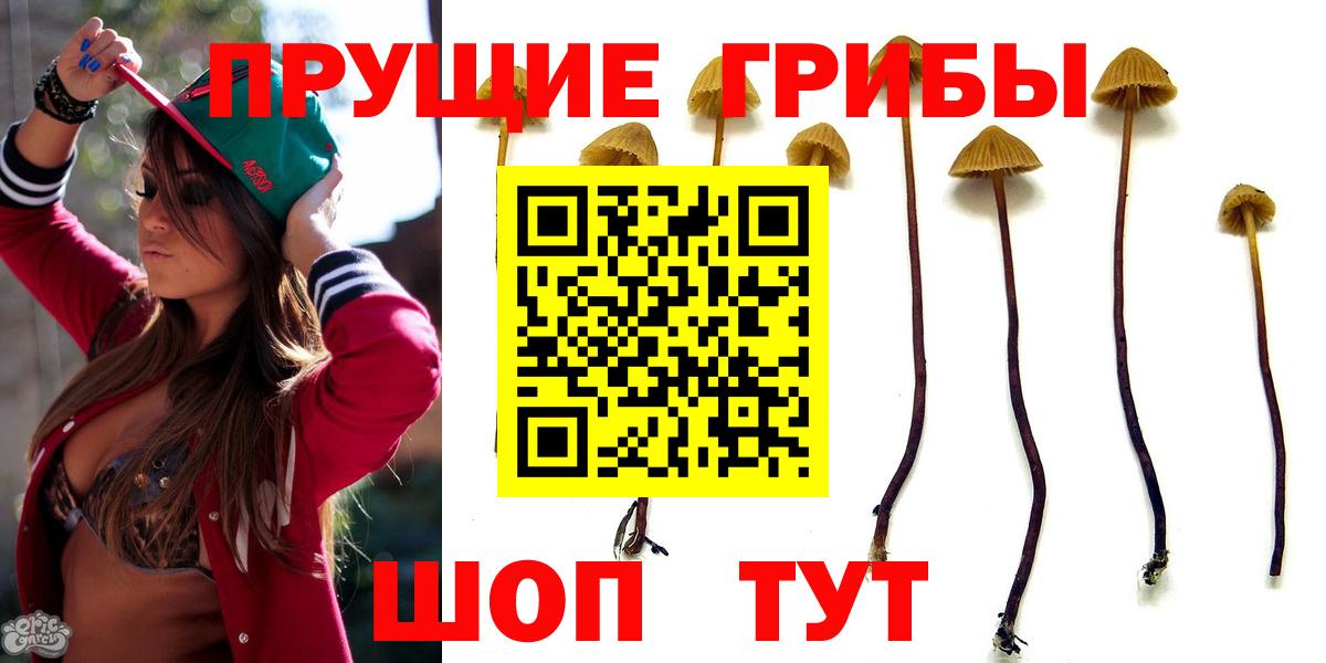 Псилоцибиновые грибы мухоморы Спасск-Дальний